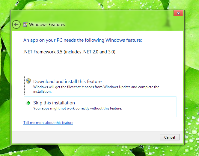 Automatic .NET detection of Windows 8