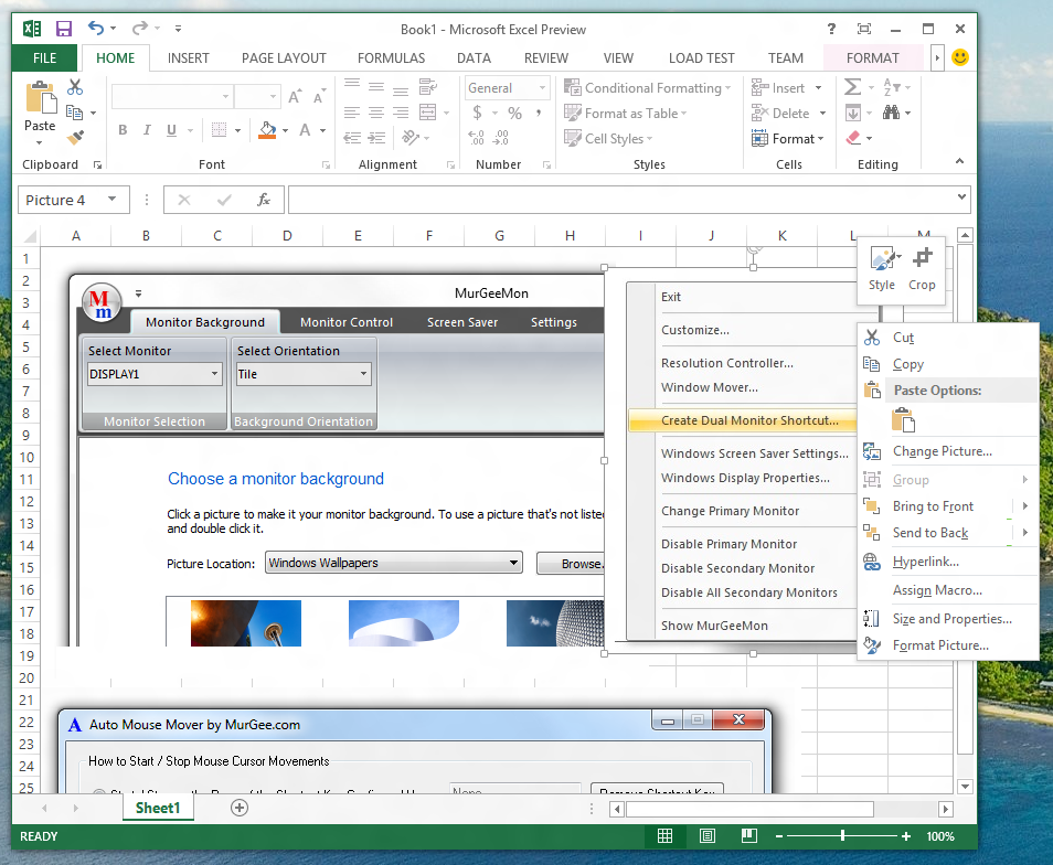 Screenshot of Excel 2013 Captured on a Windows 8 Computer